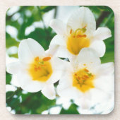Witte gelilies - Lily Flower Lilium candidum Bier Onderzetter (Voorkant)