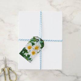 Witte gelilies - Lily Flower Lilium candidum Cadeaulabel