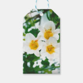 Witte gelilies - Lily Flower Lilium candidum Cadeaulabel (Voorkant)