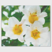 Witte gelilies - Lily Flower Lilium candidum Cadeaupapier (Vlak)
