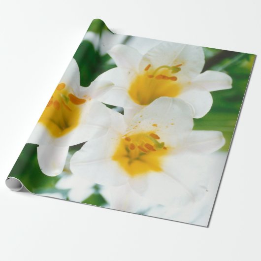 Witte gelilies - Lily Flower Lilium candidum Cadeaupapier (Uitgerold)