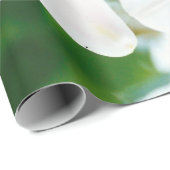 Witte gelilies - Lily Flower Lilium candidum Cadeaupapier (Rol Hoek)