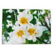 Witte gelilies - Lily Flower Lilium candidum Groot Cadeauzakje (Achterkant)