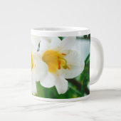 Witte gelilies - Lily Flower Lilium candidum Grote Koffiekop (Voorkant rechts)