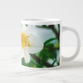 Witte gelilies - Lily Flower Lilium candidum Grote Koffiekop (Rechts)