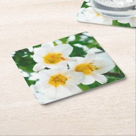 Witte gelilies - Lily Flower Lilium candidum Kartonnen Onderzetters
