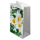 Witte gelilies - Lily Flower Lilium candidum Klein Cadeauzakje (Voorkant Gekanteld)