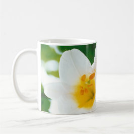 Witte gelilies - Lily Flower Lilium candidum Koffiemok