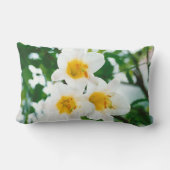 Witte gelilies - Lily Flower Lilium candidum Kussen (Achterkant)