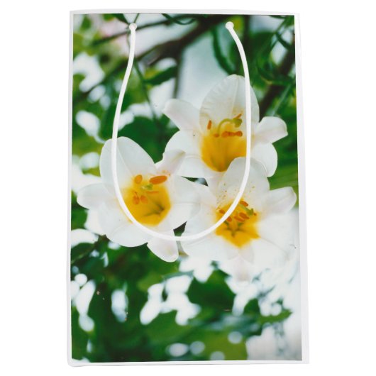 Witte gelilies - Lily Flower Lilium candidum Medium Cadeauzakje (Voorkant)