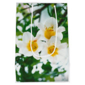 Witte gelilies - Lily Flower Lilium candidum Medium Cadeauzakje (Achterkant)