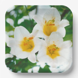 Witte gelilies - Lily Flower Lilium candidum Papieren Bordje