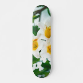 Witte gelilies - Lily Flower Lilium candidum Persoonlijk Skateboard