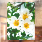 Witte gelilies - Lily Flower Lilium candidum Raamsticker (Vel 2)