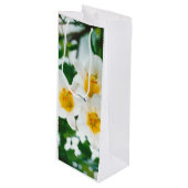 Witte gelilies - Lily Flower Lilium candidum Wijn Cadeautas (Voorkant Gekanteld)