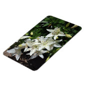 Witte gelilies magneet (Linkerzijde)