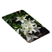 Witte gelilies magneet (Rechterzijde)