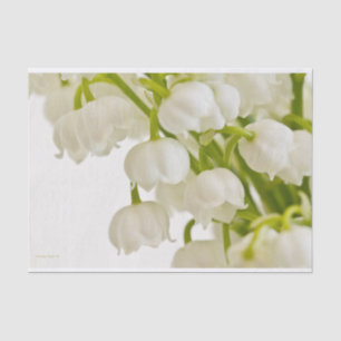 Witte gelilies tissuepapier