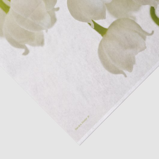 Witte gelilies tissuepapier (Detail)