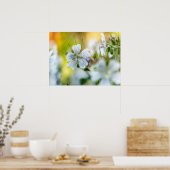 Witte Geranium Bloem Abstracte Natuur Foto Poster (Keuken)
