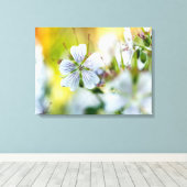 Witte Geranium Bloem Bloeiende Zomer Scène Foto Canvas Afdruk (Insitu (Houten vloer))