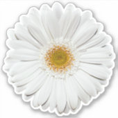 Witte Gerber Daisy Flower Kiss-Cut Sticker (Voorkant)