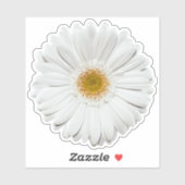 Witte Gerber Daisy Flower Kiss-Cut Sticker (Vel)