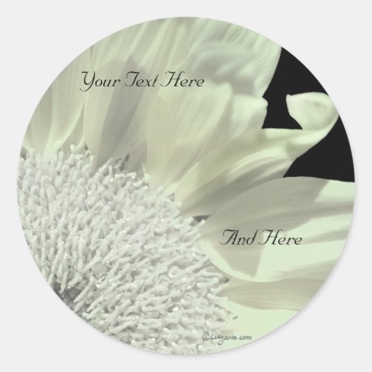 Witte Gerbera aangepaste envelop afdichtingen Ronde Sticker (Voorkant)