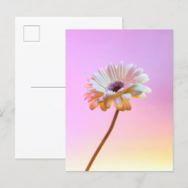 Witte Gerbera Daisy Briefkaart