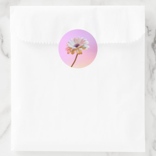 Witte Gerbera Daisy Sticker (Tas)