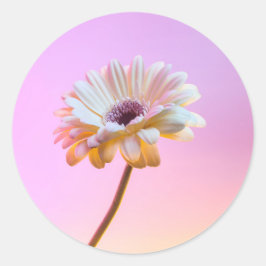 Witte Gerbera Daisy Sticker