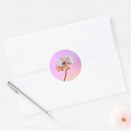 Witte Gerbera Daisy Sticker (Envelop)