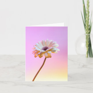 Witte Gerbera Daisy Wenskaart Kaart