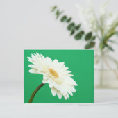 Witte Gerbera op groen Briefkaart (Staand voorkant)