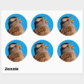 Witte-Gesneden Sparrow Zingingen aan de Zon Ronde Sticker (Vel)