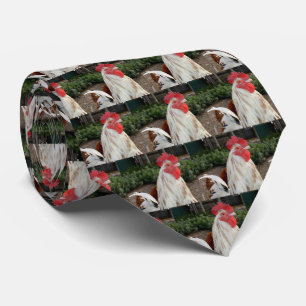 Witte gespeende fluffy Rooster, Stropdas