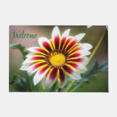 Witte getipte Gazania deurmat (Voorkant)