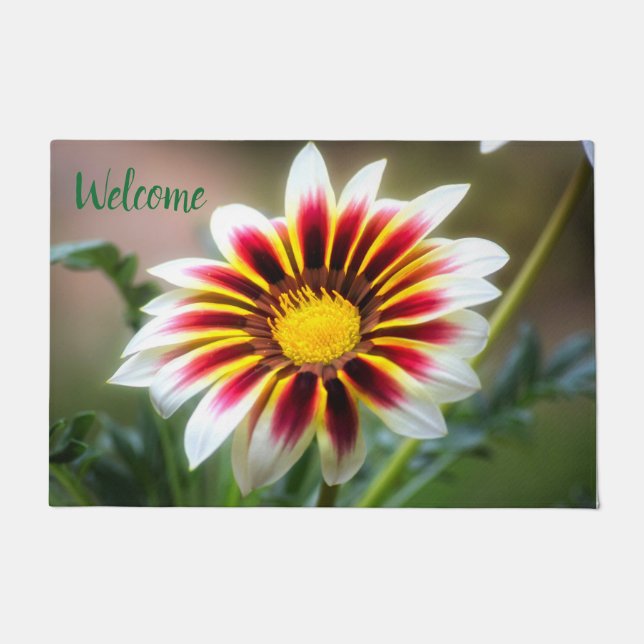 Witte getipte Gazania deurmat (Voorkant)