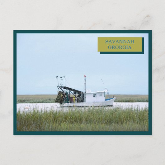 Witte Geviste boot Ocean Savannah Georgia Briefkaart (Voorkant)