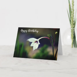 Witte Gladiolus Tuin Bloem Gelukkig Verjaardag Kaart