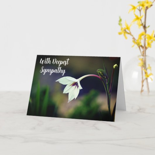 Witte Gladiolus Tuinbloem W / Diepste Sympathie Kaart (Gele Bloem)