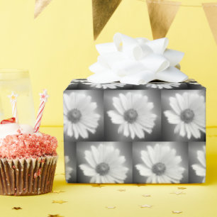 Witte gloeiende madeliefje op zwart cadeaupapier