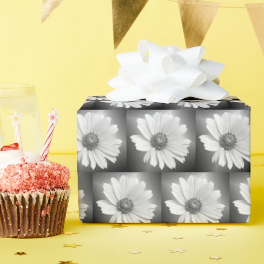 Witte gloeiende madeliefje op zwart cadeaupapier (Verjaardagsfeest)