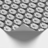 Witte gloeiende madeliefje op zwart cadeaupapier (Hoek)