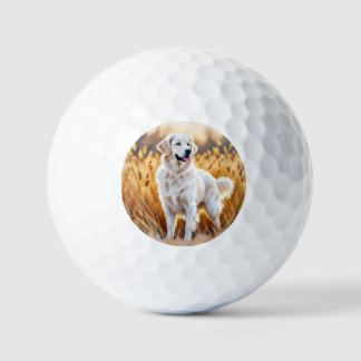 Witte Golden Retriever Hond Golfballen