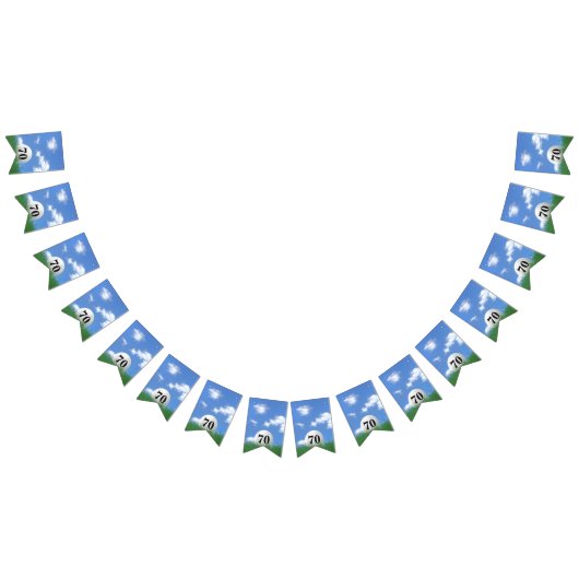 witte golfbal in gras voor het 70ste verjaardagsfe vlaggetjes (Alle)