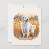 Witte Goud Retriever Hond Kaart (Voorkant)