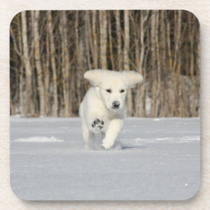 Witte Goud Retriever Puppy in de Sneeuw Bier Onderzetter