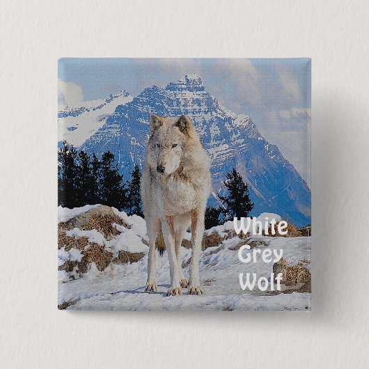 Witte Grijze Wolf & Rocky Mountains Wildlife Butto Vierkante Button 5,1 Cm (Voorkant)