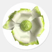 Witte Groene Bloesem Bloem Zomer Tuin Bruiloft Ronde Sticker (Voorkant)